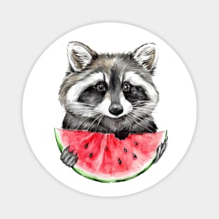 raccoon and watermelon Magnet